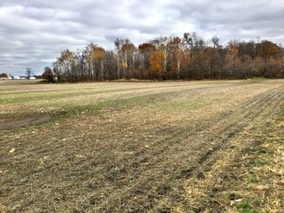 Property photo 16 - REAL ESTATE AUCTION - 336.6+/- ACRES OFFERED IN 10 TRACTS IN WHITLEY COUNTY, INDIANA